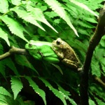 image06